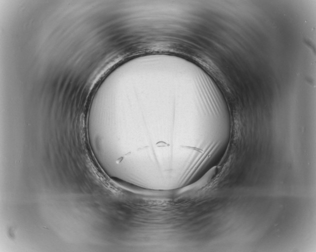 X0000102220798200808151704