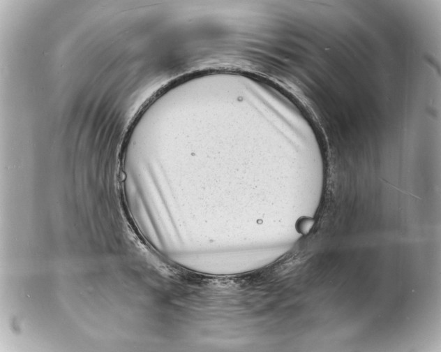 X0000102220799200808151704