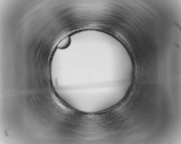 X0000102220800200808151704