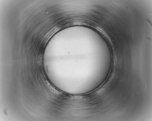 X0000102220801200808151704