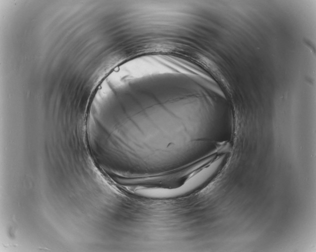 X0000102220802200808151704