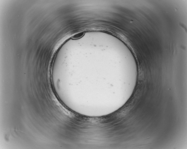 X0000102220803200808151704