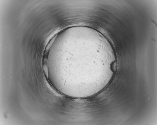 X0000102220805200808151704