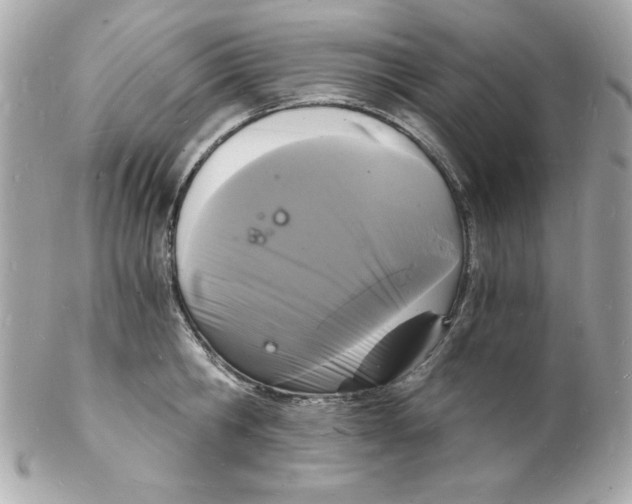 X0000102220806200808151704