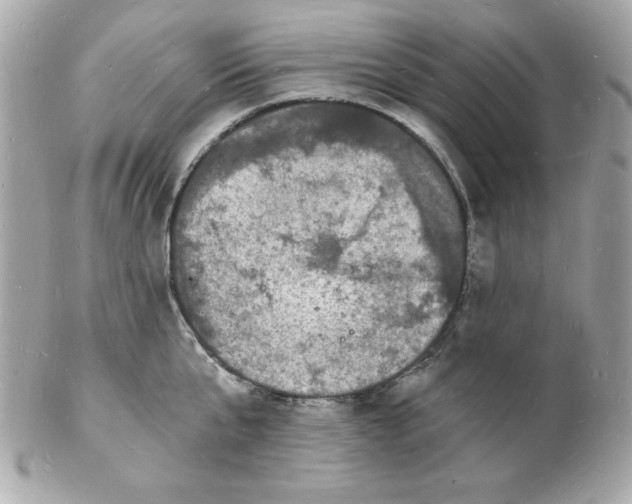 X0000102220807200808151704