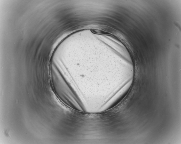 X0000102220808200808151704