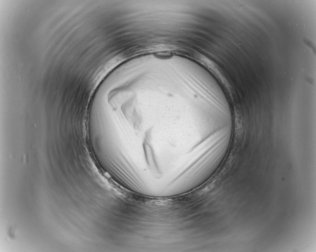 X0000102220810200808151704