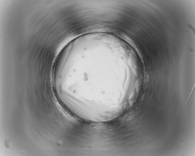 X0000102220811200808151704