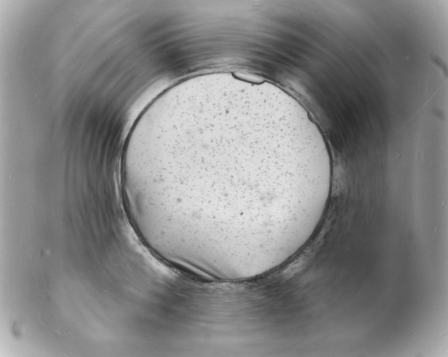 X0000102220812200808151704