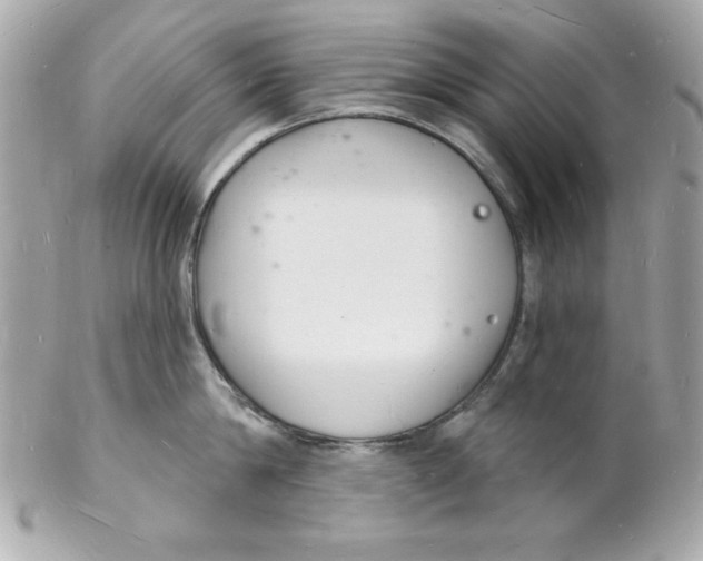 X0000102220814200808151704