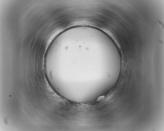 X0000102220815200808151704