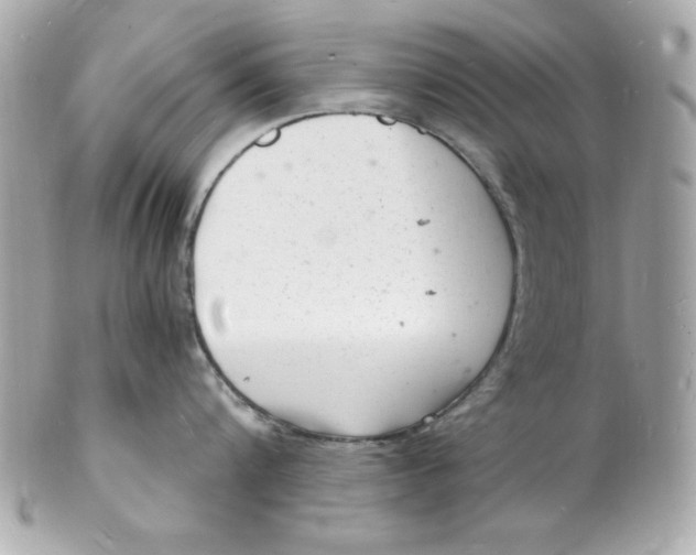 X0000102220816200808151704