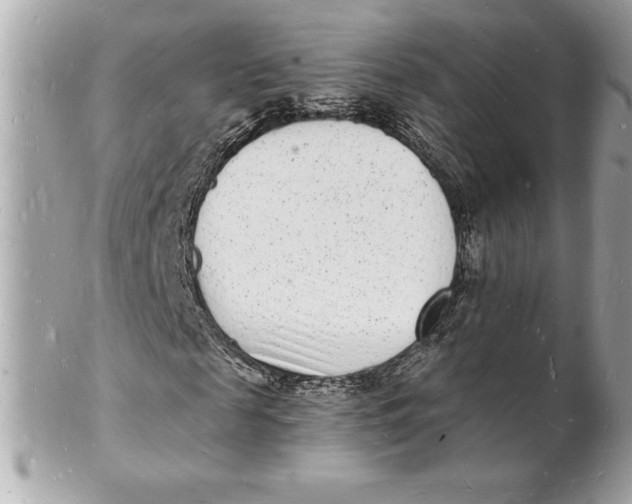 X0000102220817200808151703