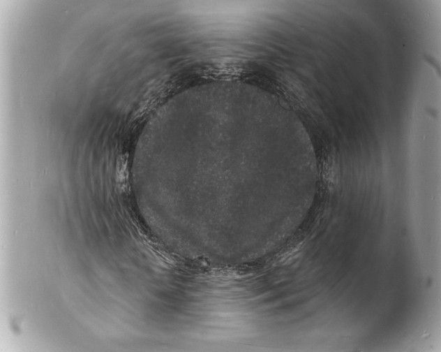 X0000102220818200808151703