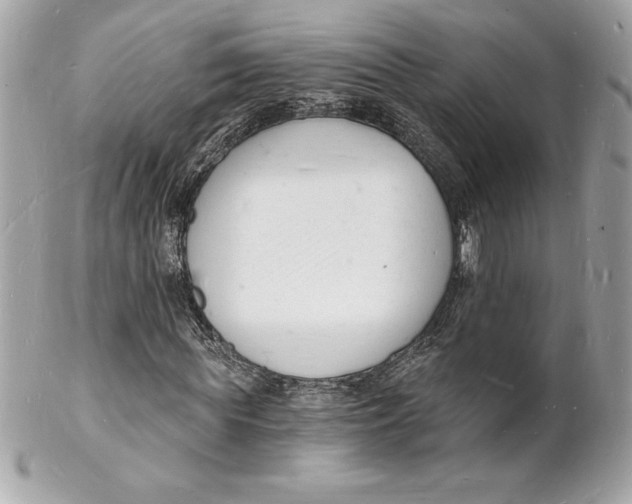 X0000102220819200808151703