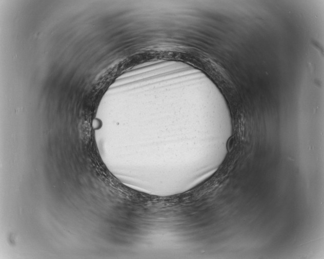 X0000102220821200808151703