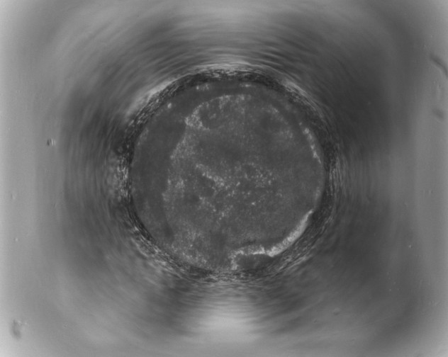 X0000102220822200808151703