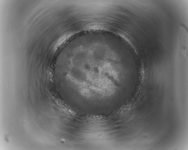 X0000102220823200808151703