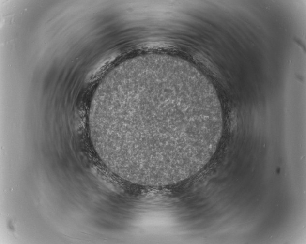 X0000102220824200808151703