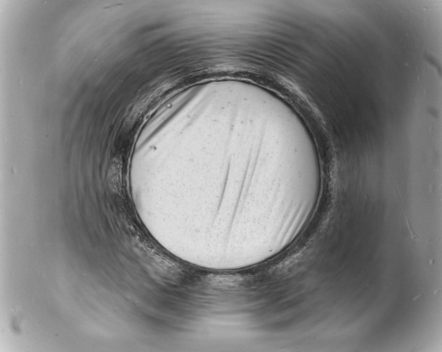 X0000102220825200808151703