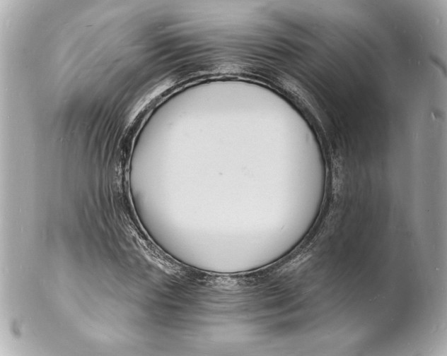 X0000102220827200808151703