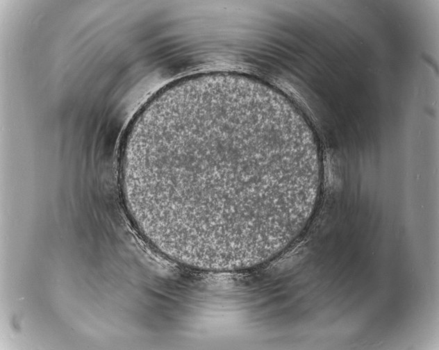 X0000102220828200808151703