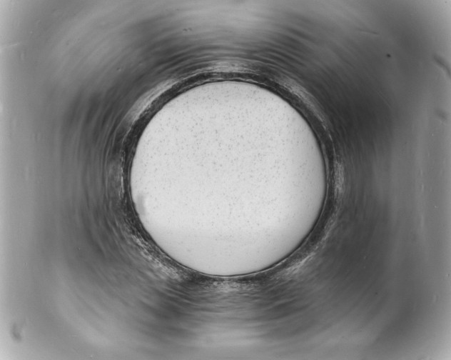 X0000102220829200808151703