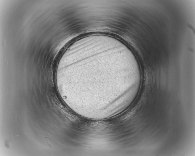 X0000102220830200808151703