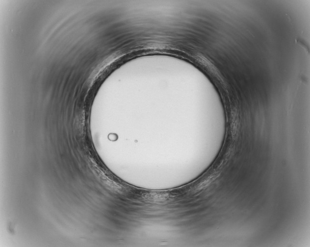 X0000102220831200808151703