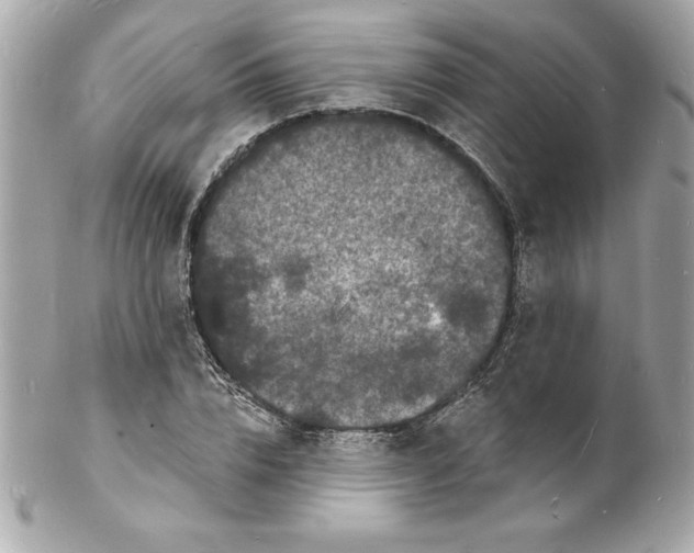 X0000102220832200808151703