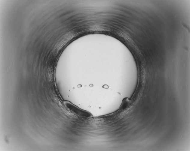 X0000102220833200808151703