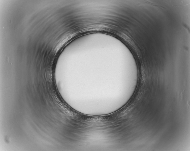 X0000102220834200808151703