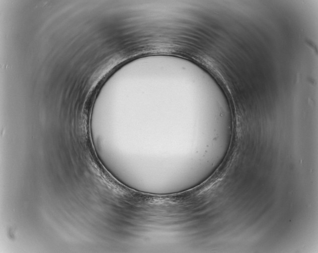 X0000102220835200808151703