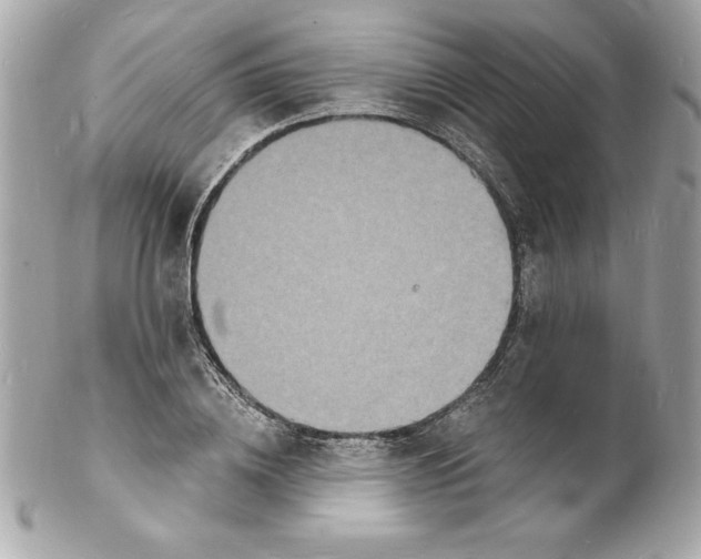 X0000102220836200808151703