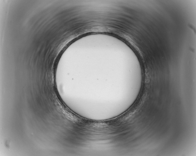 X0000102220837200808151703