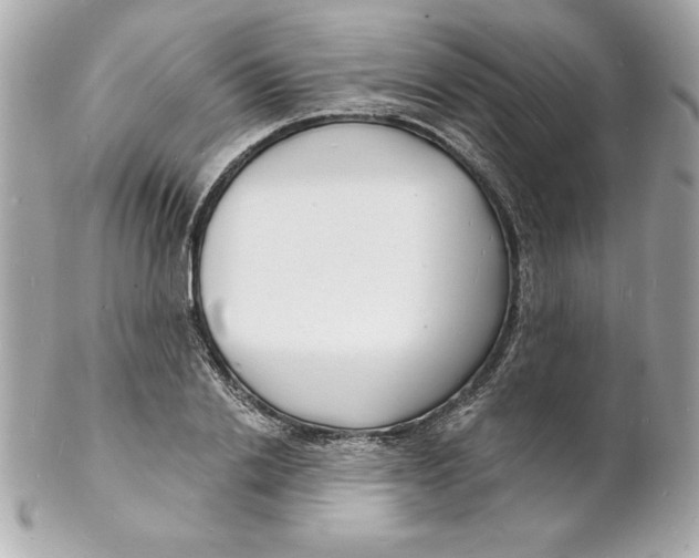 X0000102220838200808151703