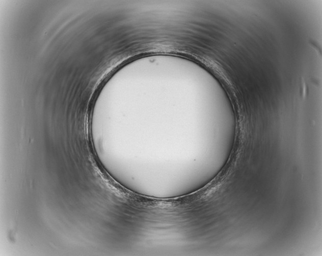 X0000102220839200808151703