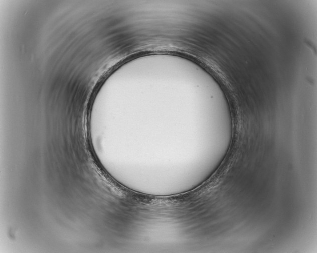 X0000102220840200808151703