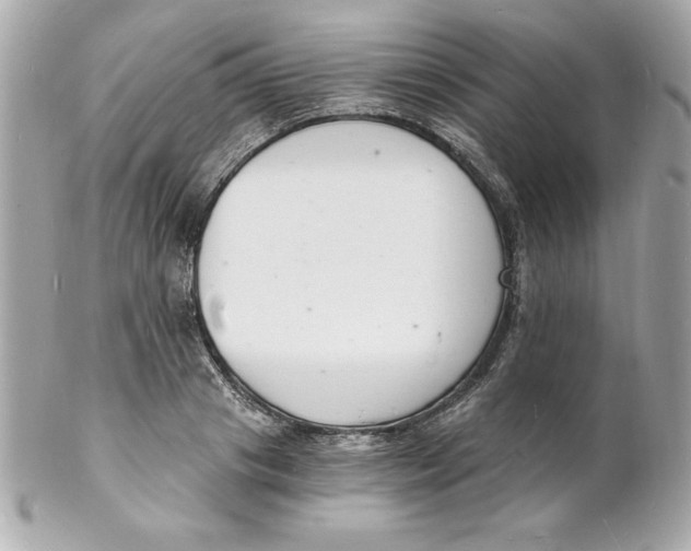 X0000102220841200808151703