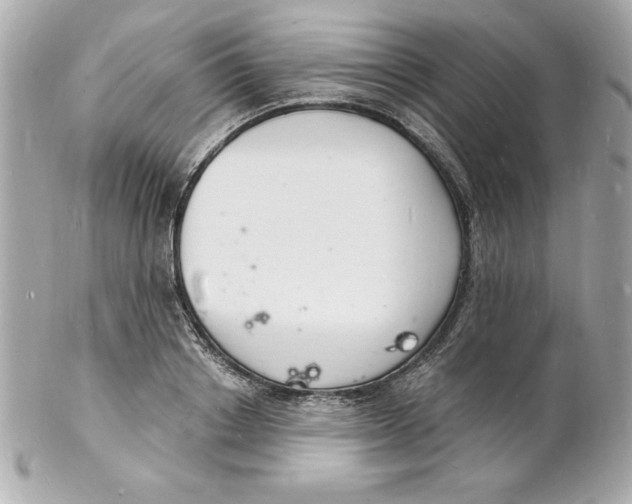 X0000102220842200808151703