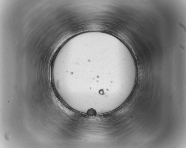 X0000102220843200808151703