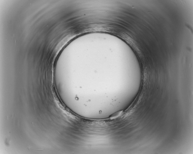 X0000102220844200808151703