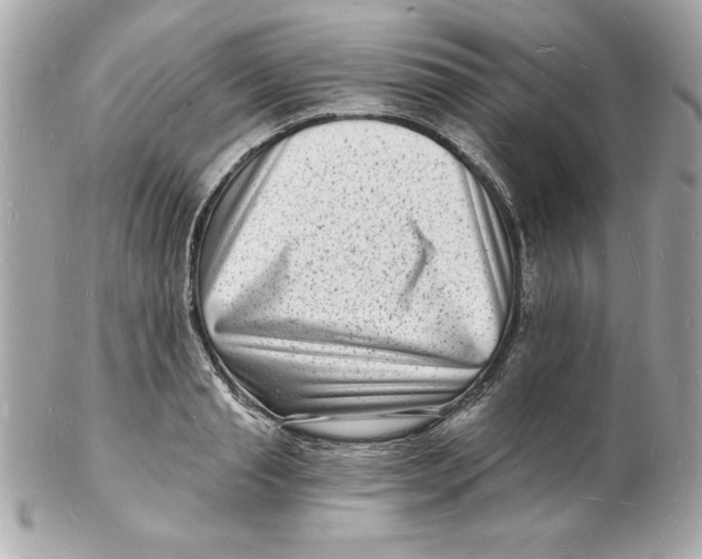 X0000102220845200808151703