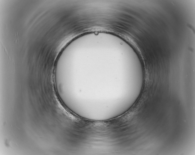 X0000102220847200808151703