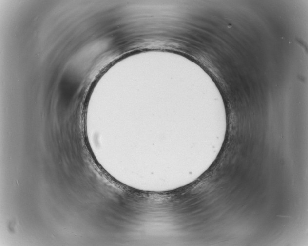 X0000102220848200808151703