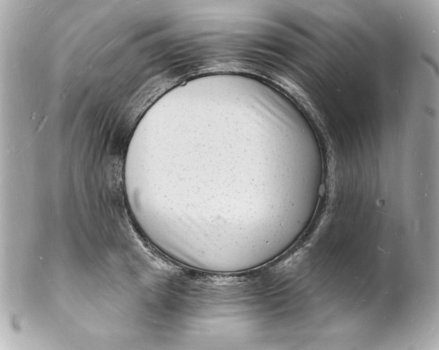 X0000102220849200808151703