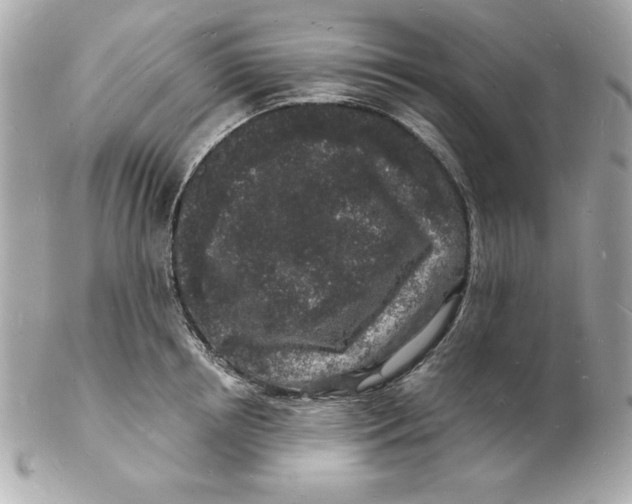 X0000102220850200808151703