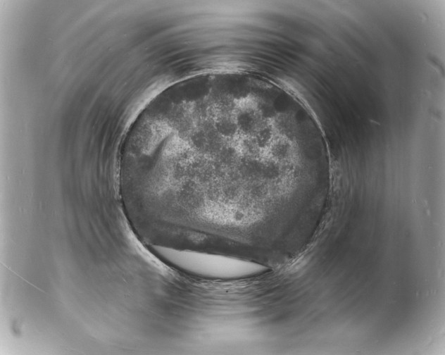 X0000102220851200808151703