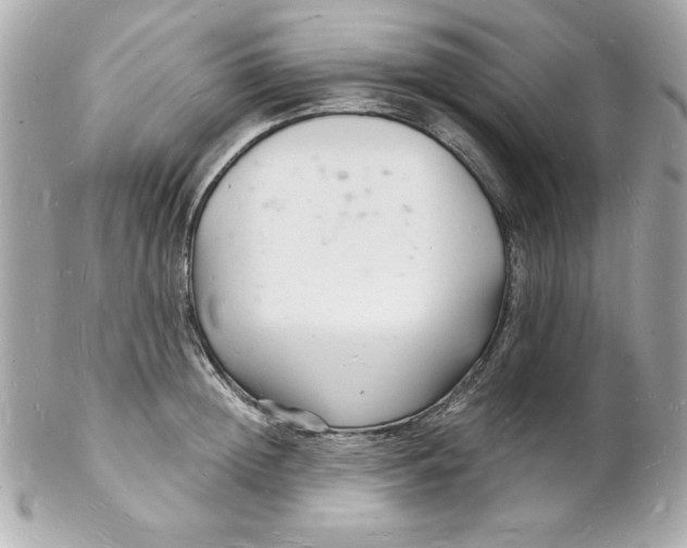 X0000102220852200808151703