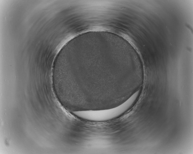 X0000102220853200808151703